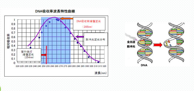 脉冲强光水处理——饮用水微生物净化处理技术